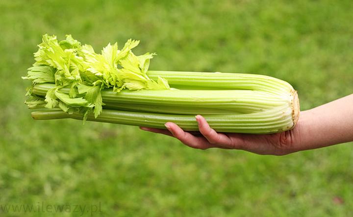 Jak skutecznie uprawiać i pielęgnować seler naciowy, aby rośliny były duże i zdrowe