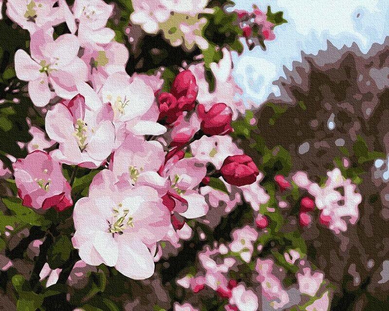 Majowe kwiaty - odkryj najpiękniejsze rośliny kwitnące w tym miesiącu