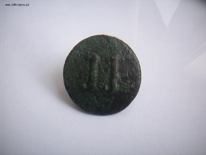 Bezpieczeństwo spożycia listopadów