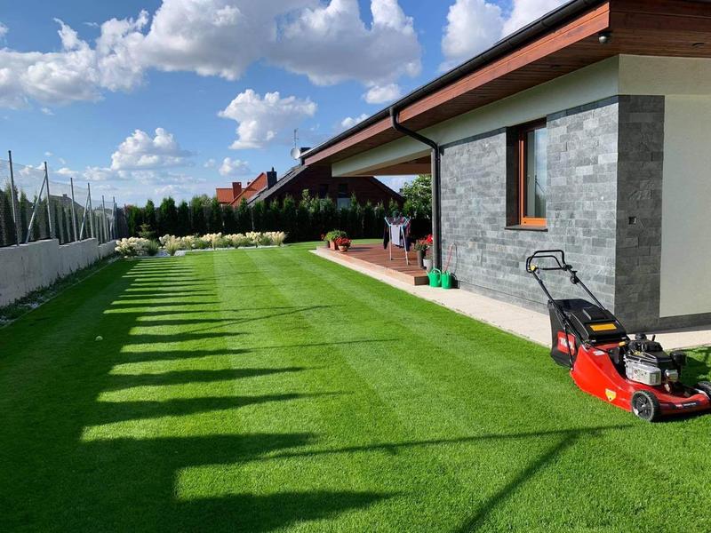 Pielęgnacja trawnika