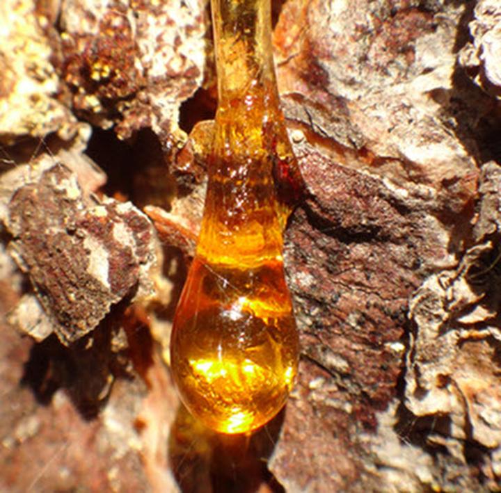 Usuwanie żywicy z paneli