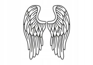 Jak pielęgnować skrzydła anioła: praktyczny przewodnik dla każdego początkującego