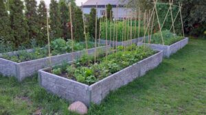 Odkryj korzyści i sekrety przygotowania grządek podwyższonych dla lepszego ogrodu