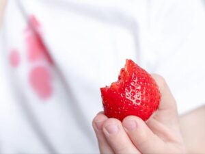 Skuteczne sposoby na usunięcie plam z wiśni, czereśni, truskawek i malin – praktyczny poradnik dla każdego