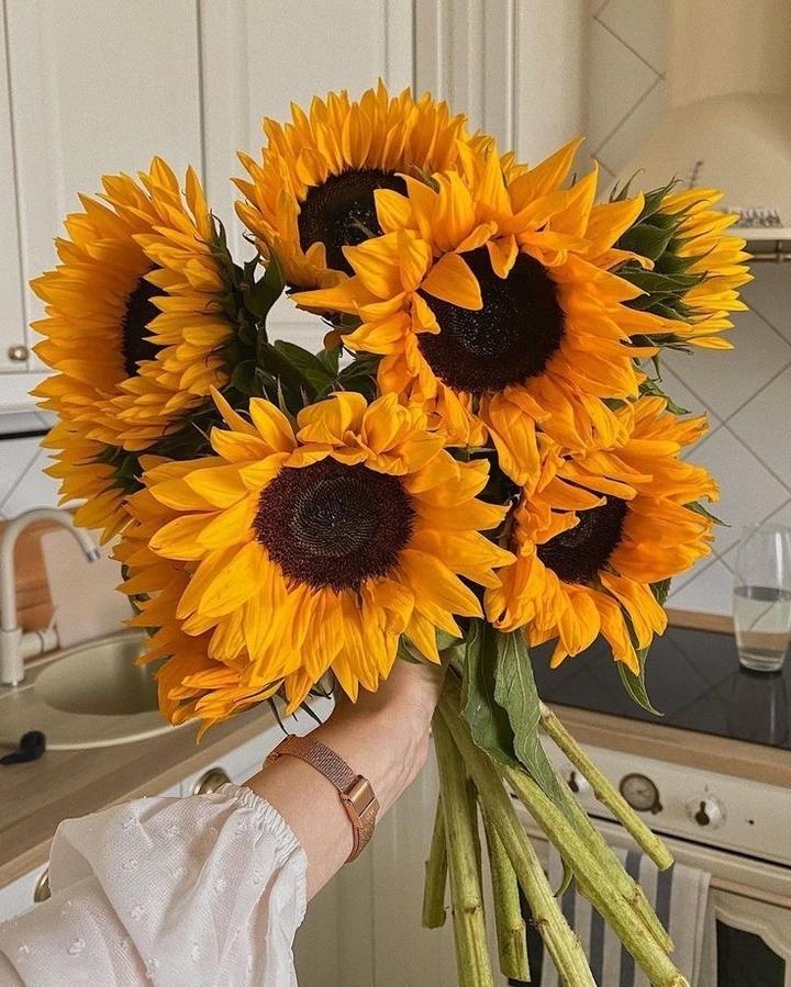 Kompozycje z słoneczników