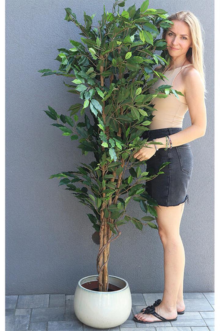 Nawozy dla roślin pokojowych