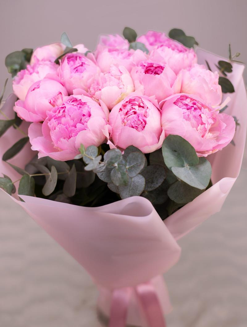 Pielęgnacja piwonii