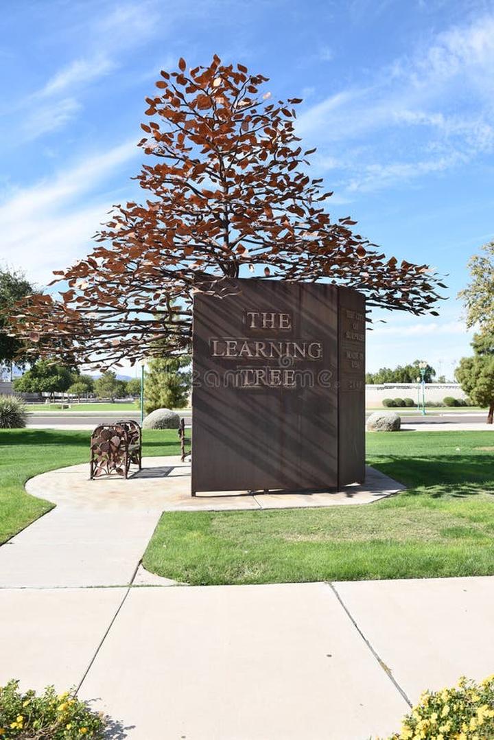 Wpływ cienia na ogród