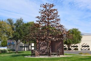 Jak radzić sobie z cieniującymi drzewami lub żywopłotem sąsiada?