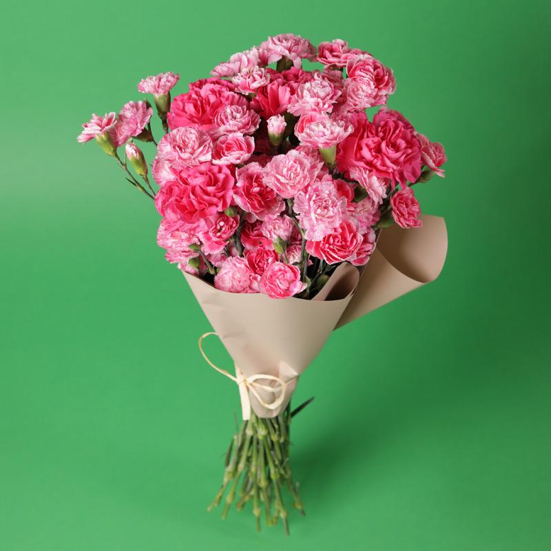 Pielęgnacja goździków