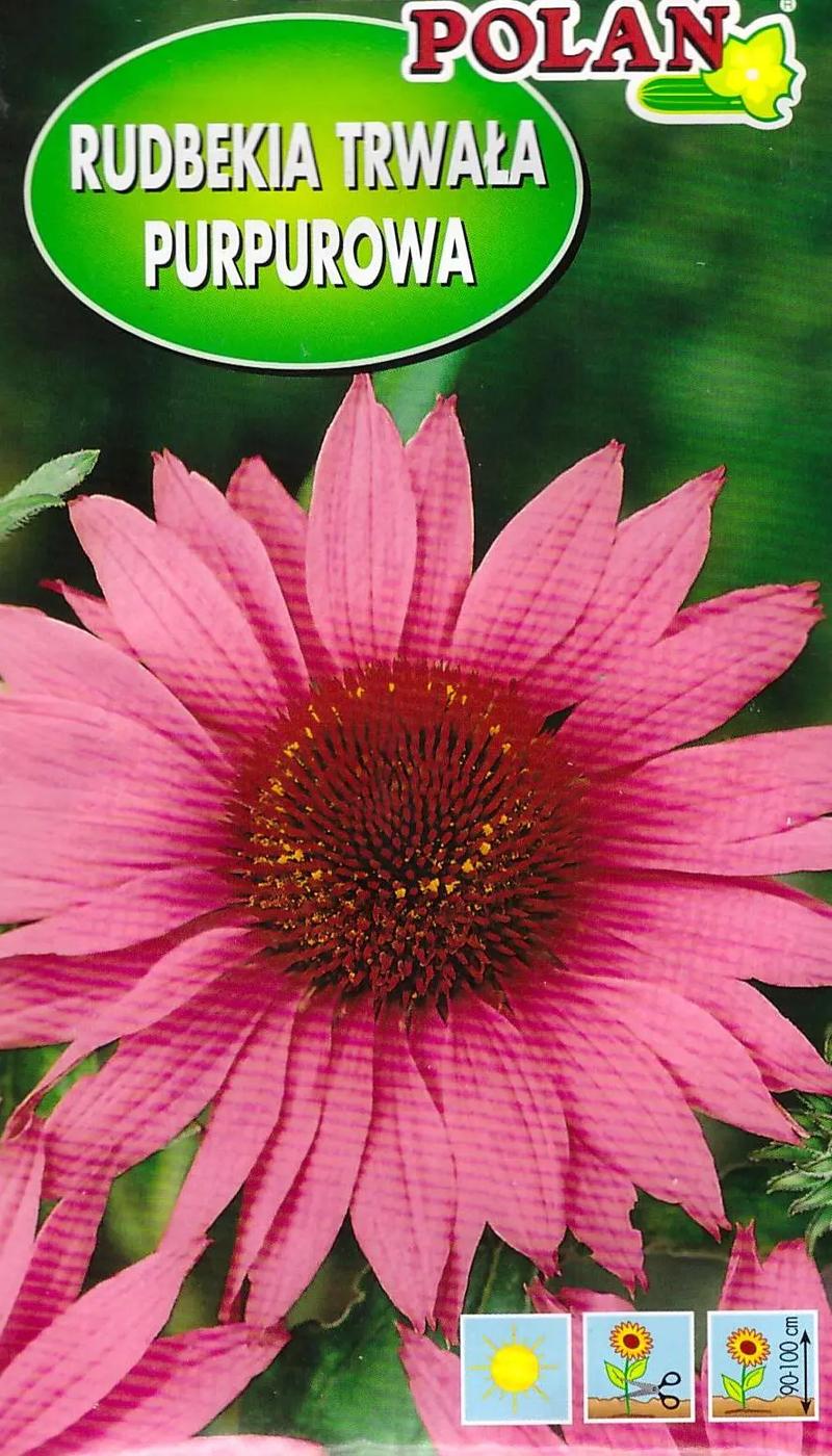 Rudbekia wieloletnia