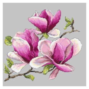 Jak skutecznie przycinać magnolie? Praktyczny poradnik na odpowiedni czas i techniki