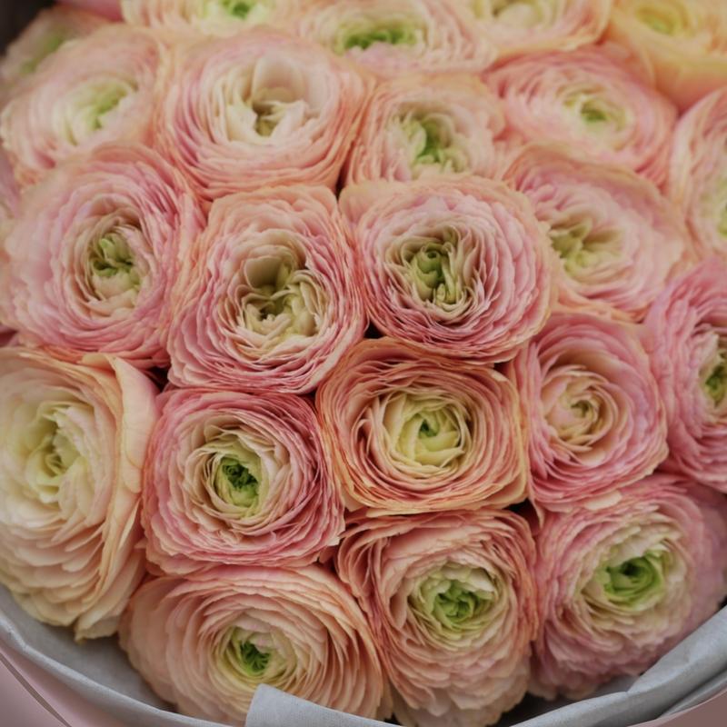 Rodzaje jaskrów w ogrodzie