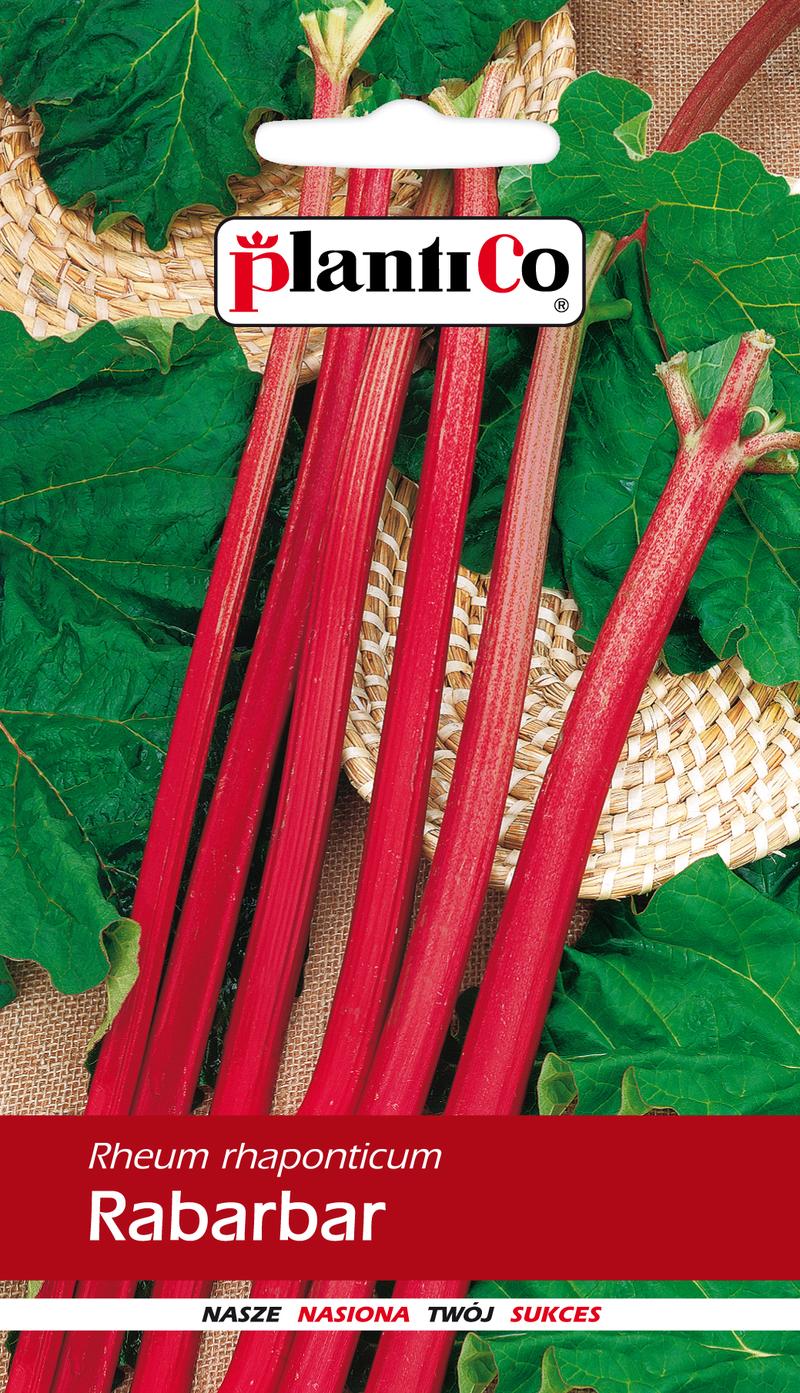 Uprawa rabarbaru