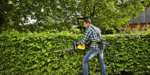 Jak i kiedy przycinać oraz pielęgnować żywopłot? Praktyczny poradnik dla każdego ogrodnika