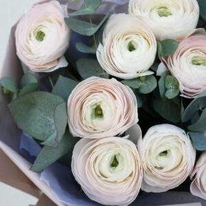 Jaskry w Twoim ogrodzie: kompleksowy poradnik jak i kiedy je sadzić