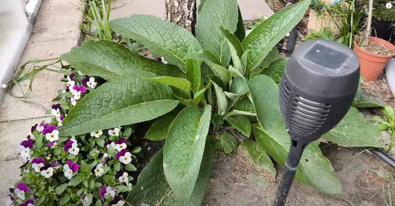 Ekologiczne nawożenie ogrodu