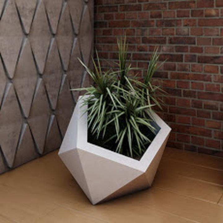 Przycinanie dracen krok po kroku