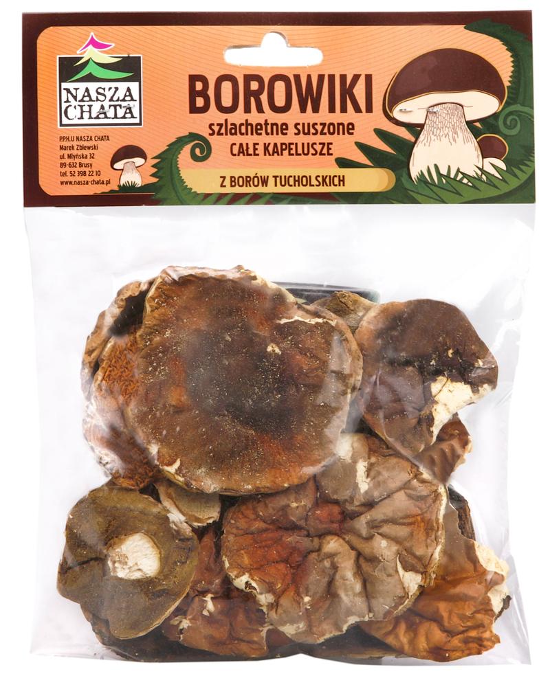 Rola grzybów w ekosystemie