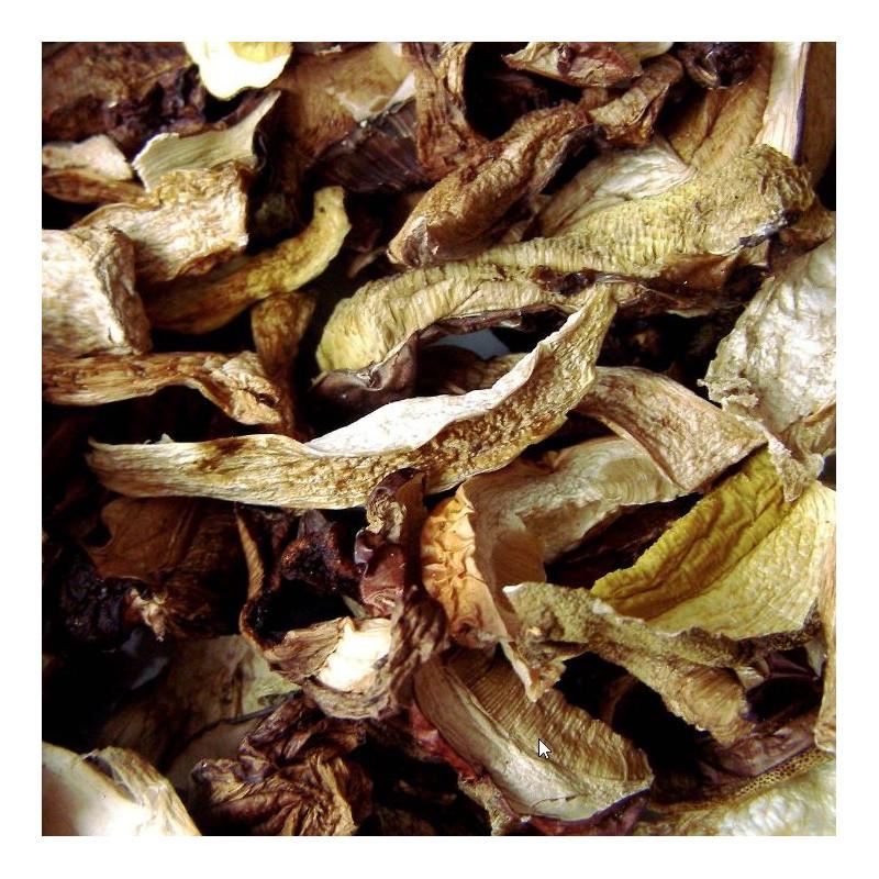 Jak rozpoznać trujące borowiki? Wszystkie grzyby jadalne czy wśród nich kryje się niebezpieczeństwo?