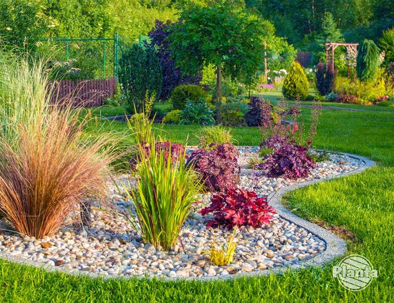 Niebanalne propozycje aranżacji z rabatą żwirową w Twoim ogrodzie