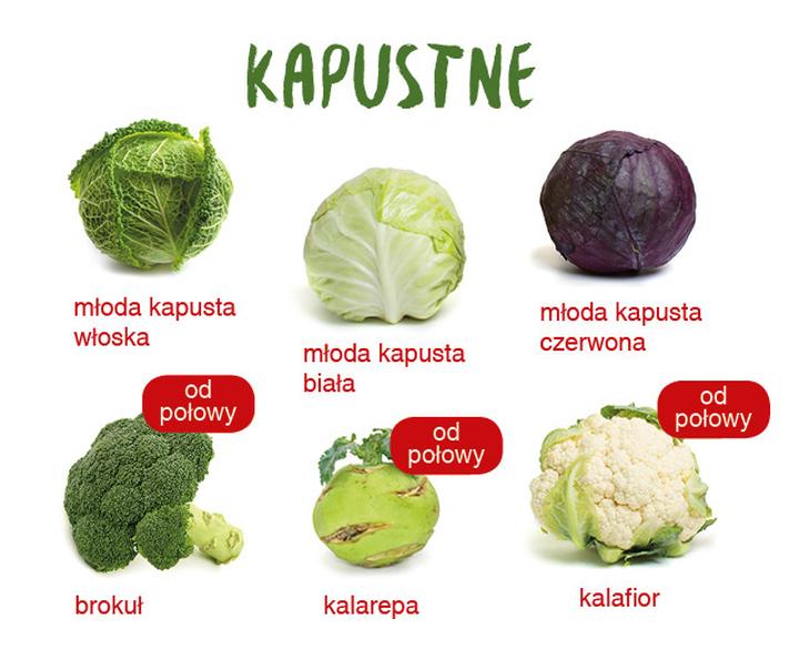 Kalendarz ogrodnika czerwiec