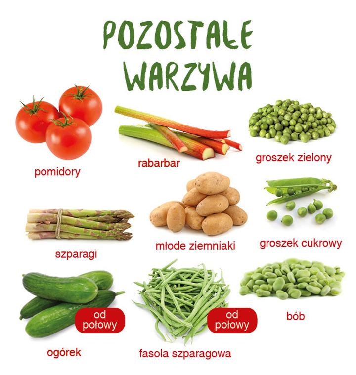 Porady ogrodnicze dla obfitych zbiorów