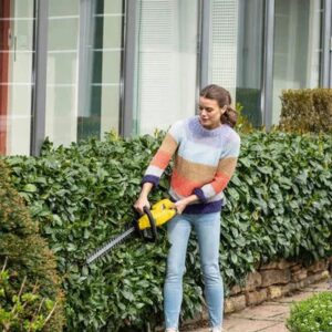 Ciecie bukszpanu – praktyczny poradnik o tym, jak i kiedy to robić