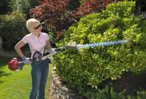 Jak i kiedy przycinać krzewy ozdobne? Praktyczne sposoby na skuteczne cięcie