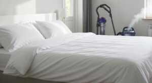 Pasożyty w naszej pościeli – jakie mogą się tam osiedlić i jak skutecznie się ich pozbyć?