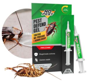 Skuteczne sposoby na to, jak pozbyć się karaluchów raz na zawsze