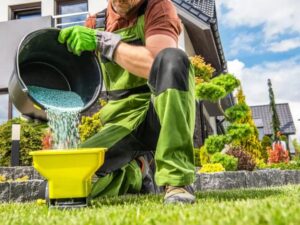 Optymalne terminy na nawożenie trawnika – kiedy warto sięgnąć po nawóz?